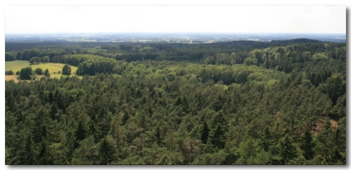 Blick vom Ruhner Berg nach Drefahl